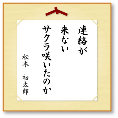 連絡が来ないサクラ咲いたのか