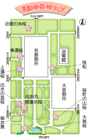 京都御苑桜マップ