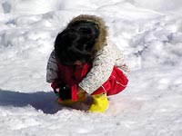toto_080211.jpg