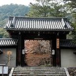 社会