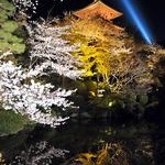 社会