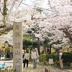 社会