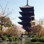 社会