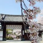 社会