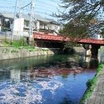“花筏”　鳥羽街道疎水高橋橋付近投稿者：ユリカモメさん