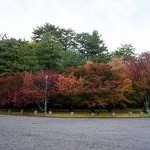 京都御苑【３】Kyoto Gyoen National Garden