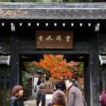 京都紅葉情報2009