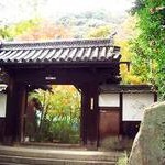 京都紅葉情報2009