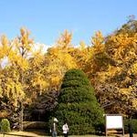 京都府立植物園Kyoto Botanical Garden