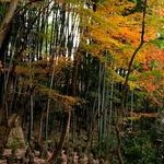 石峯寺Sekihou-ji Temple