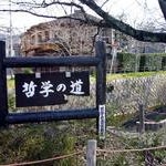 社会