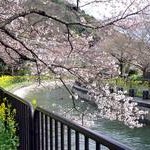 山科疏水Yamashina sosui Canal