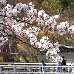 長岡天満宮