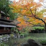 京都御苑Kyoto Gyoen National Garden