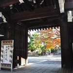 京都紅葉情報2010