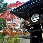 京都紅葉情報2010