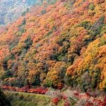 嵐山亀山公園Kameyama Park, Arashiyama