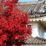 田辺城Tanabe Castle’Bugaku Castle’