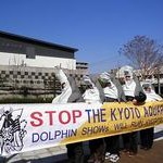 京都水族館オープンに抗議　パークプロジェクトメンバーら