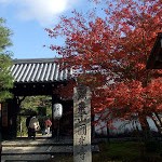 京都紅葉情報2008