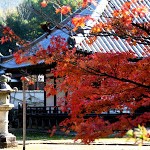 醍醐山麓