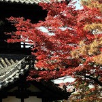 祇園界隈