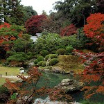 京都紅葉情報2008