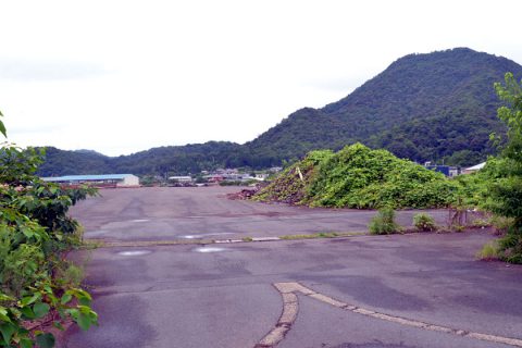 パーム油発電所計画