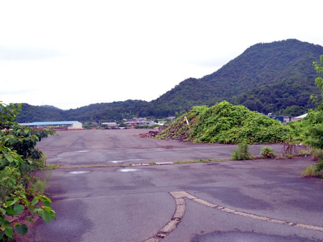 パーム油発電所計画