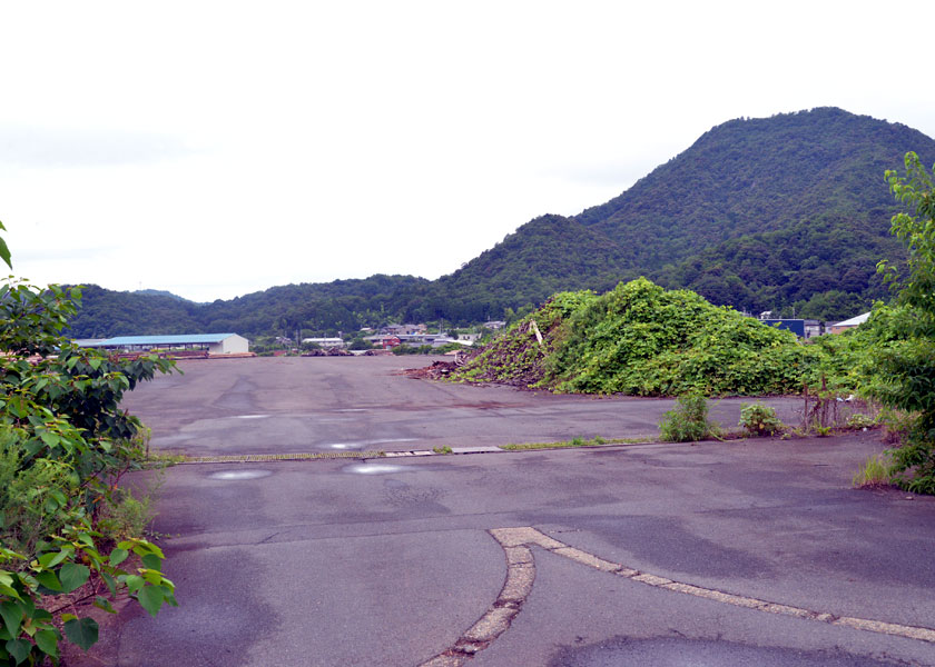 パーム油発電所計画