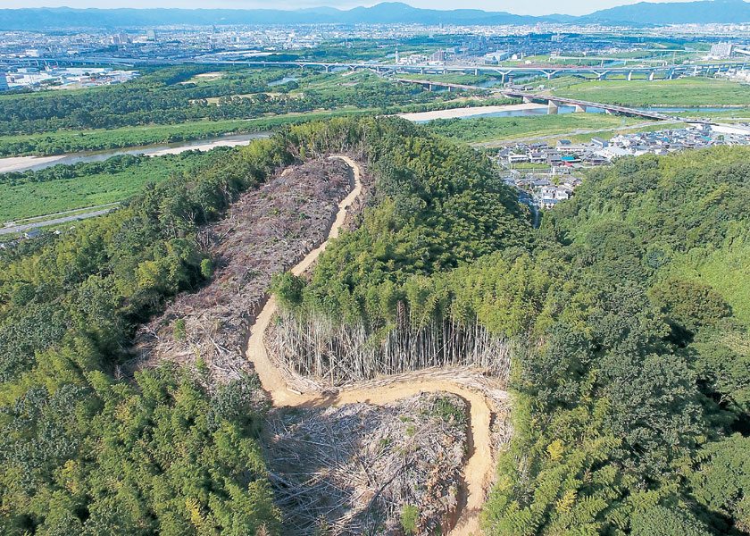 八幡市男山ソーラー