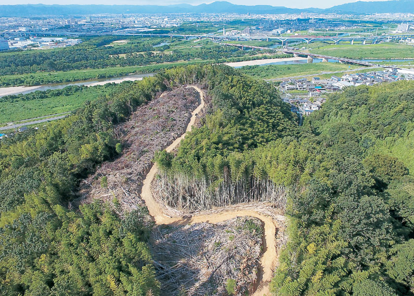 男山ソーラー