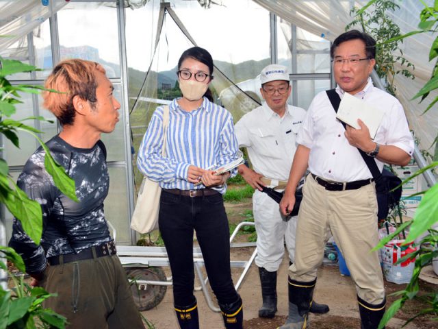 気候危機　農業に深刻な影響　共産党・堀川候補が聞き取り調査　福知山市の農家「暑さ対策に多額費用が」