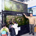 野外水槽が帰ってきた　右京区・花園教会水族館　通常入館も再開