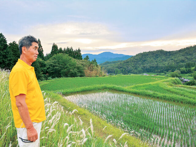 【参院選2025】自民農政はコメ作りの基盤崩した／府内のコメ農家警鐘「農政転換しなければ主食の危機さらに」
