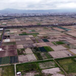 【衆院選2026】住民の立場で延伸計画中止訴えているのは共産党／北陸新幹線延伸計画の中止を求める久御山の会・中村都子さん